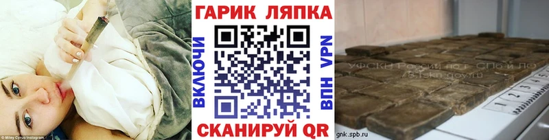 Купить  Ахтубинск  ГАШ Premium 